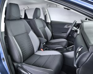 AURIS INT 08 DPL 2015 300x238