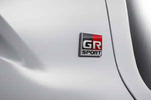CROSS GR S BADGE2 RET Preview Rev 1 1 300x200
